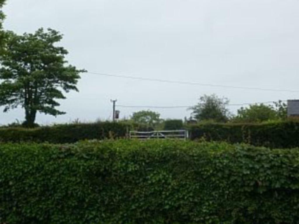 The Old Shop Villa Llandyfrydog Exteriör bild